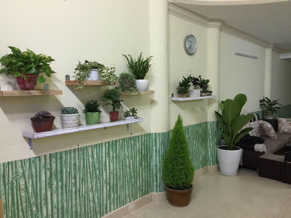 Далат: Rain Star 2 Hotel Da Lat