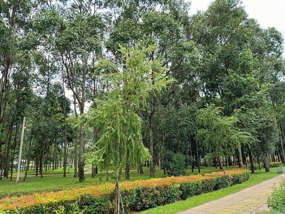 Хошимин: Botanica Premier Luxury Apartments