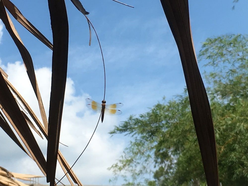 Кантхо: Nha Homestay