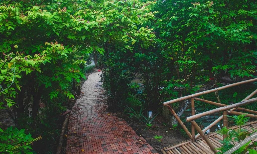 Кантхо: Bamboo Eco Village