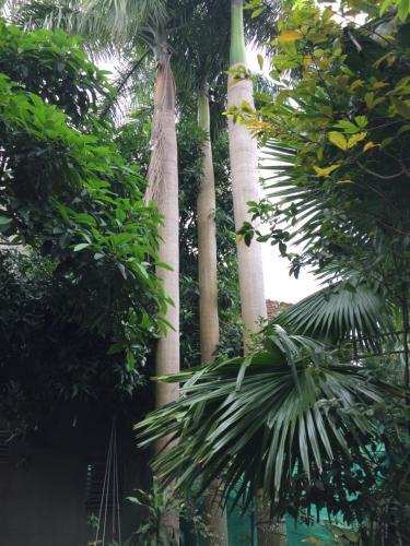 Хюэ: Green Home Homestay