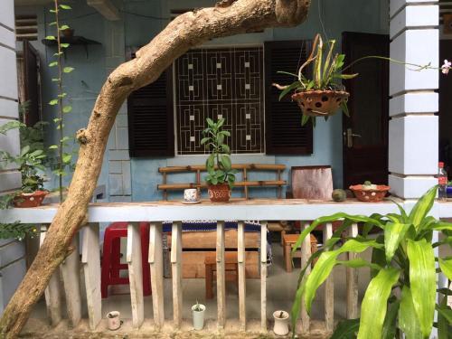 Хюэ: Green Home Homestay