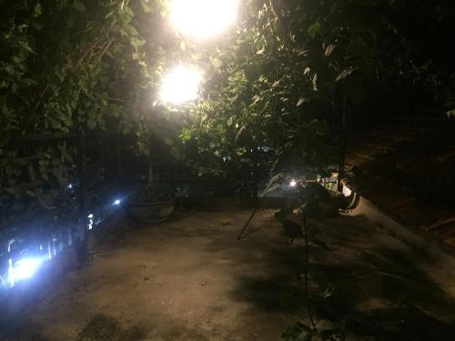 Хюэ: Green Home Homestay