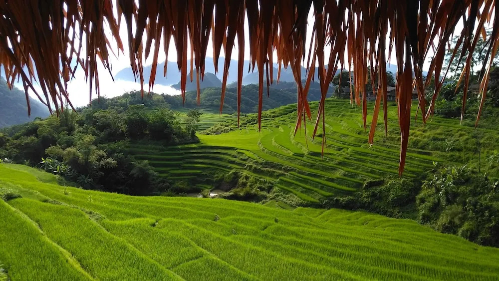 Маи-Чау: Pu Luong Boutique Garden