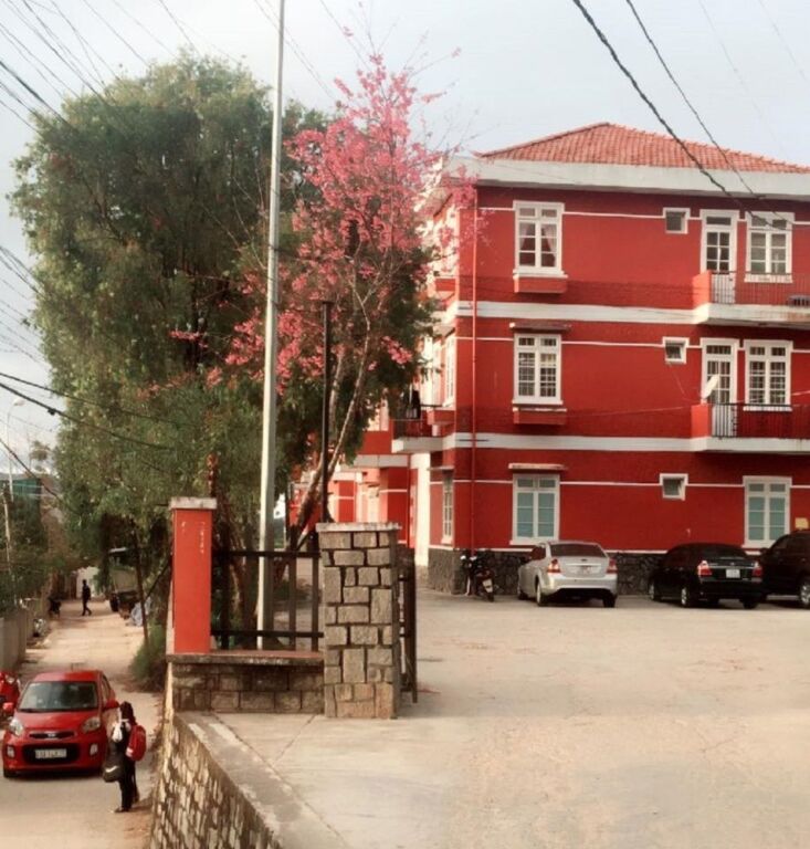 Далат: 10 Nam tri ky
