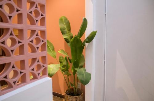 Хошимин: Nap Hostel Saigon