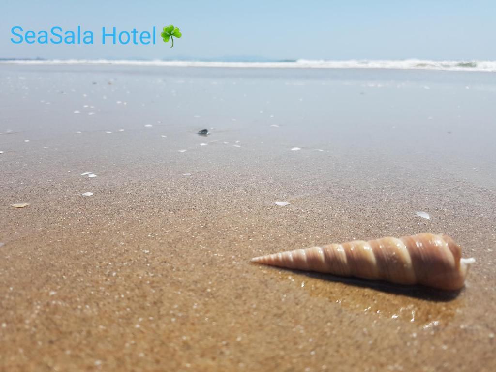 Вунгтау: SeaSala Hotel