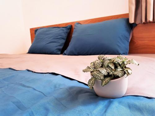 Вунгтау: Beautiful Sea and Mountain View Bi22 Homestay
