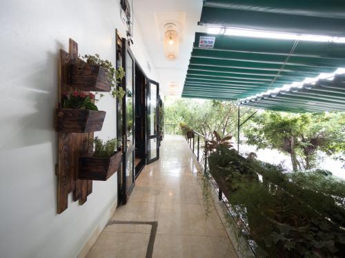Дананг: Hostel 1986 Da Nang