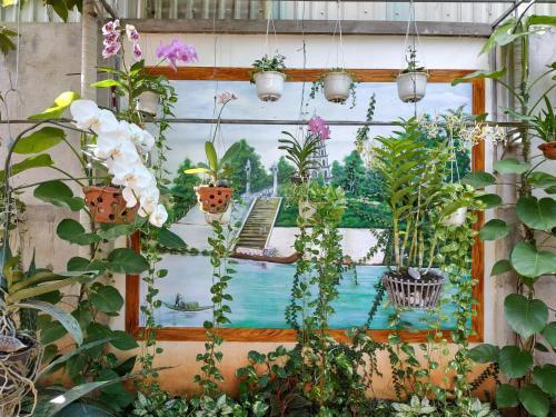Вунгтау: Homestay 499