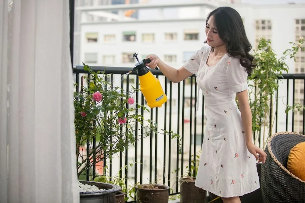 Ханой: The Bloom Ha Noi