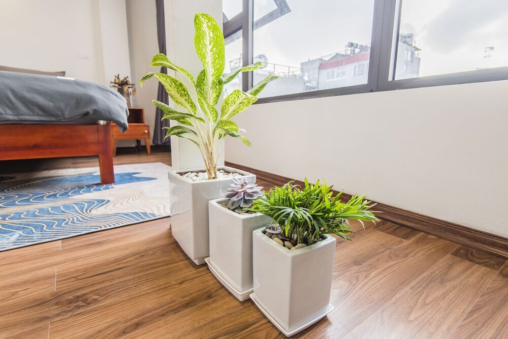 Ханой: Fancy Homestay