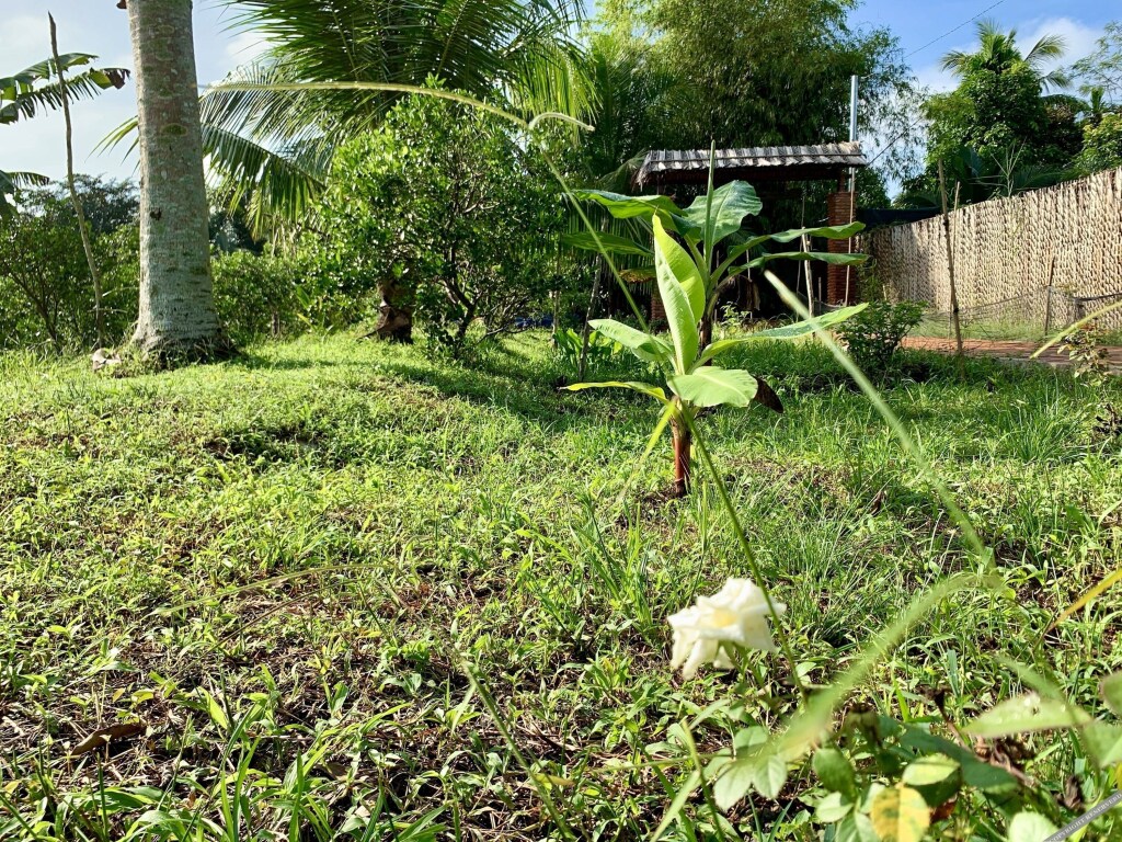 Кантхо: Mekong Daniel Bungalow