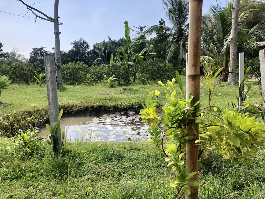 Кантхо: Mekong Daniel Bungalow
