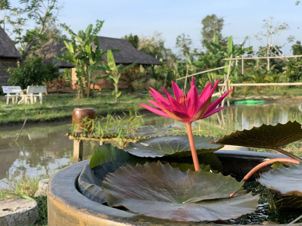 Кантхо: Mekong Daniel Bungalow