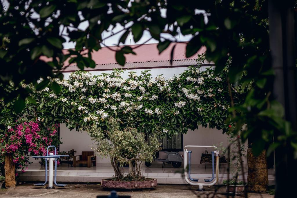 Да-Хуоай: Nhat Quang Hotel