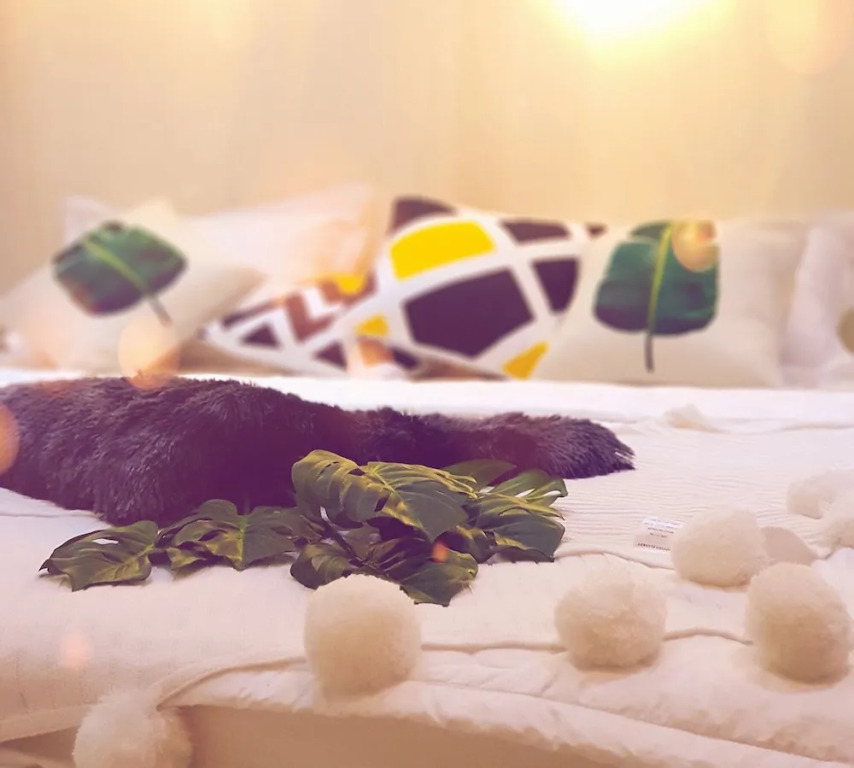 Кантхо: Nexstay Forest Home - Hostel