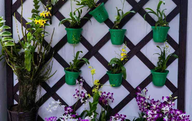Кантхо: Orchid Garden Homestay Can Tho
