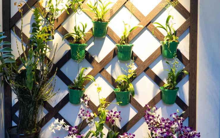 Кантхо: Orchid Garden Homestay Can Tho