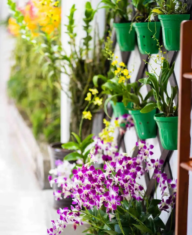 Кантхо: Orchid Garden Homestay Can Tho