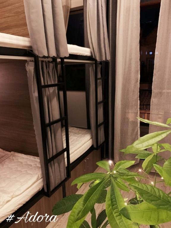 Кантхо: Adora Central Park - Hostel