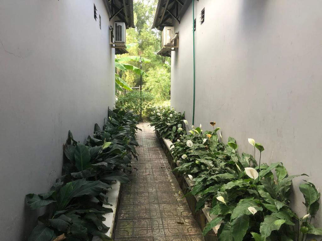 Mai Vuong Thuy Hotel — фото 6