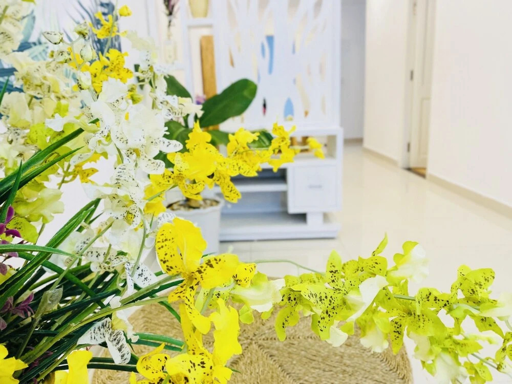 Вунгтау: Vung Tau Milan Homestay
