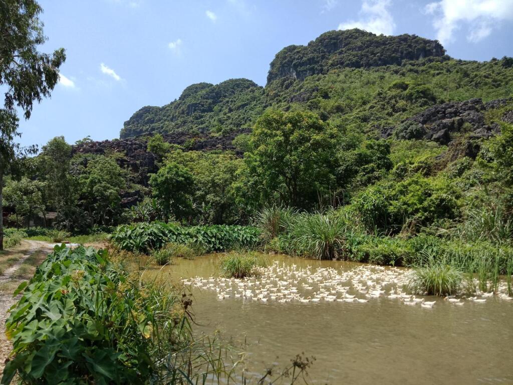 Хоа Лу: Rustic Houses Tam Coc
