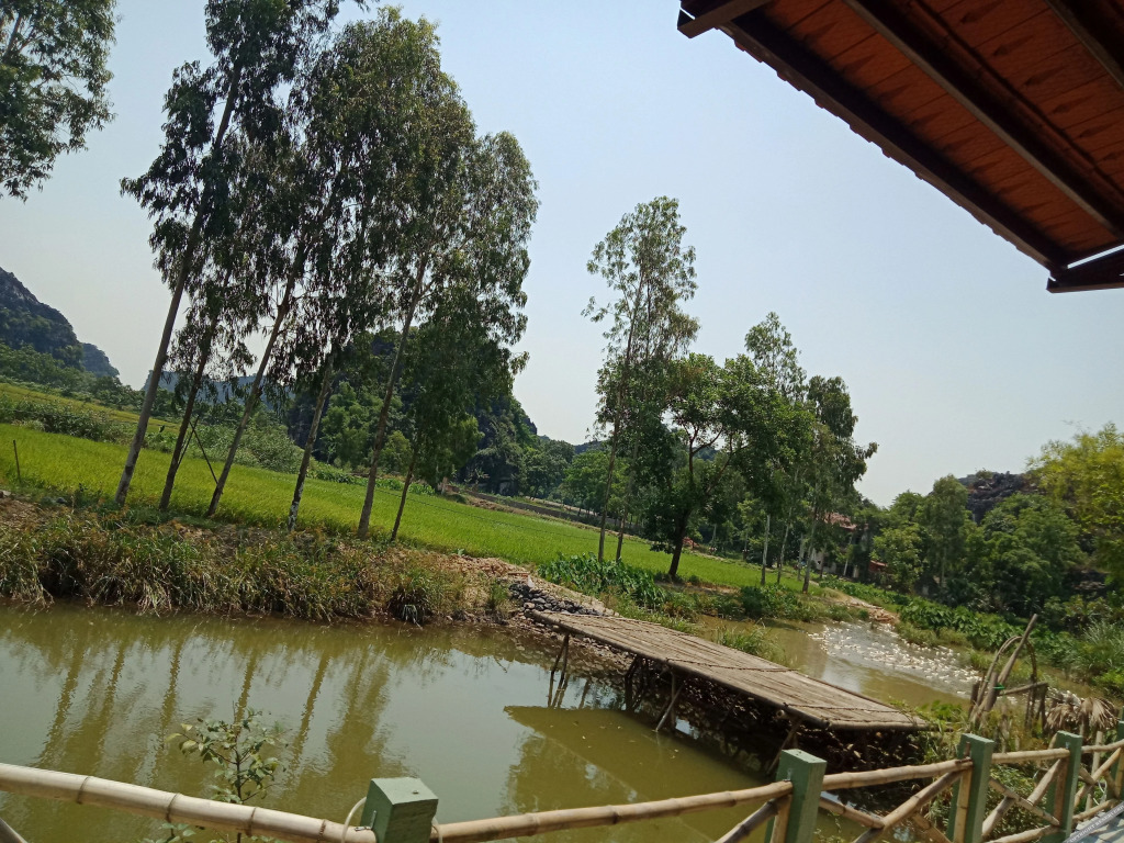 Хоа Лу: Rustic Houses Tam Coc