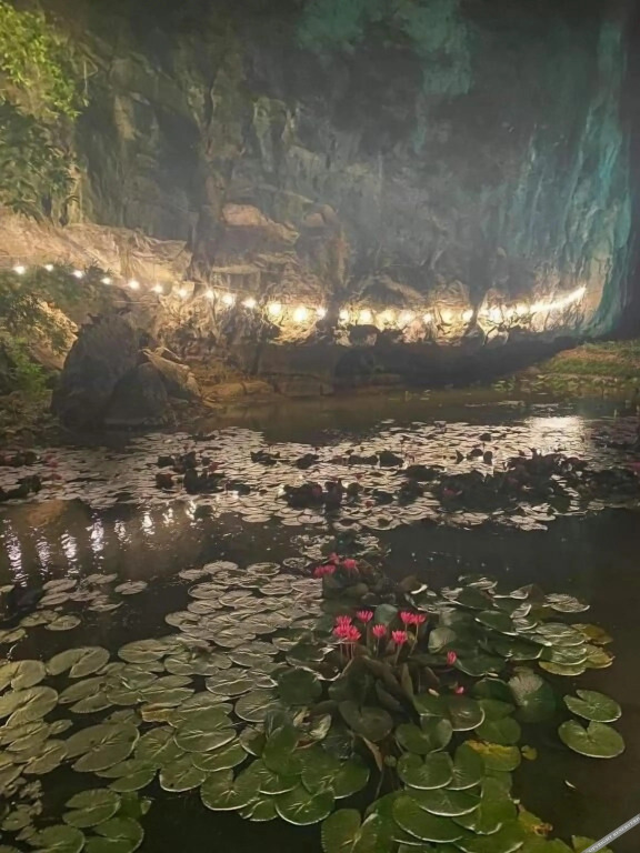 Зявьен: Tam Coc Ninh Binh Bungalow