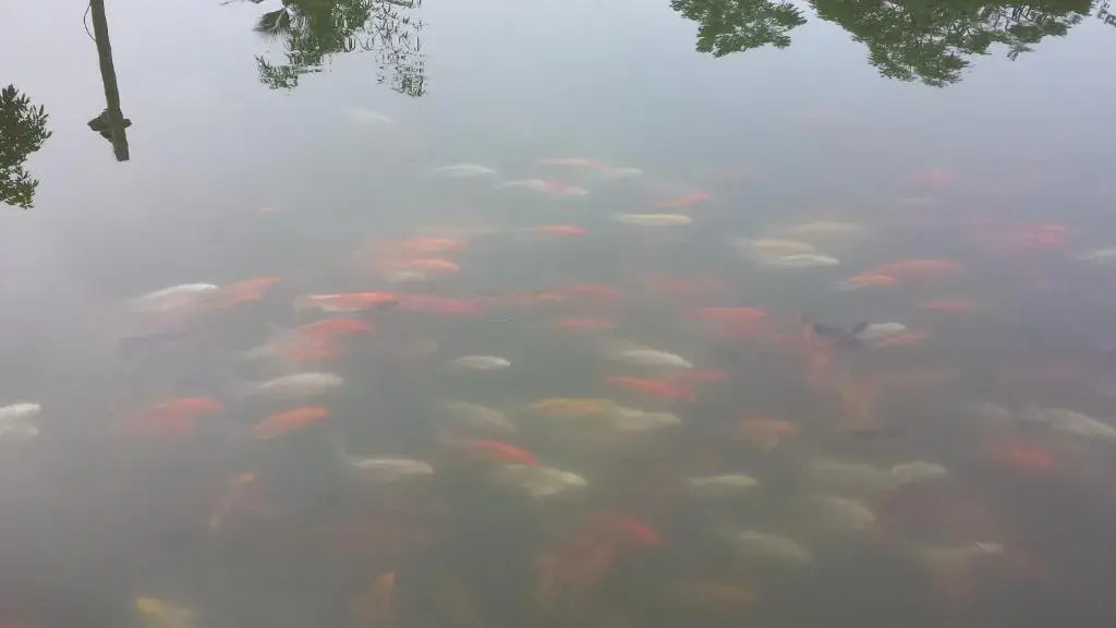Зявьен: Cuc Phuong Resort
