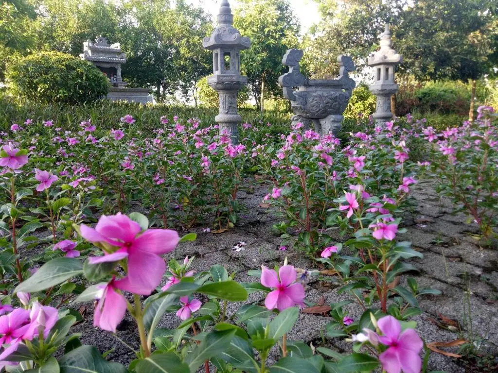 Зявьен: Cuc Phuong Resort