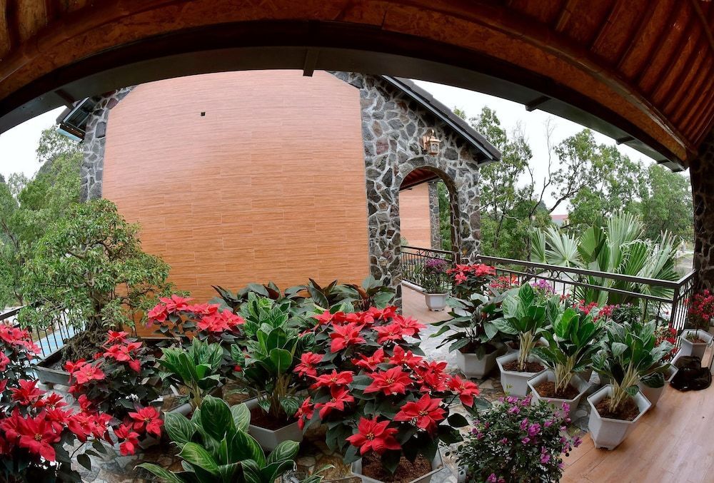 Хоа Лу: Tam Coc Dibi Villa