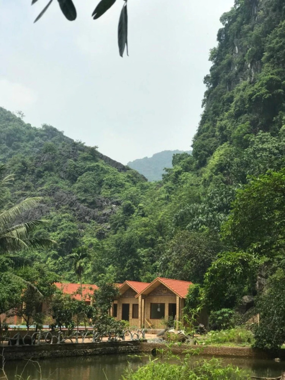 Зявьен: Tam Coc Rocky Bungalow