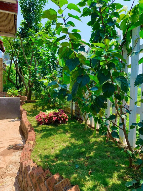 Зявьен: Minh Thu Villa