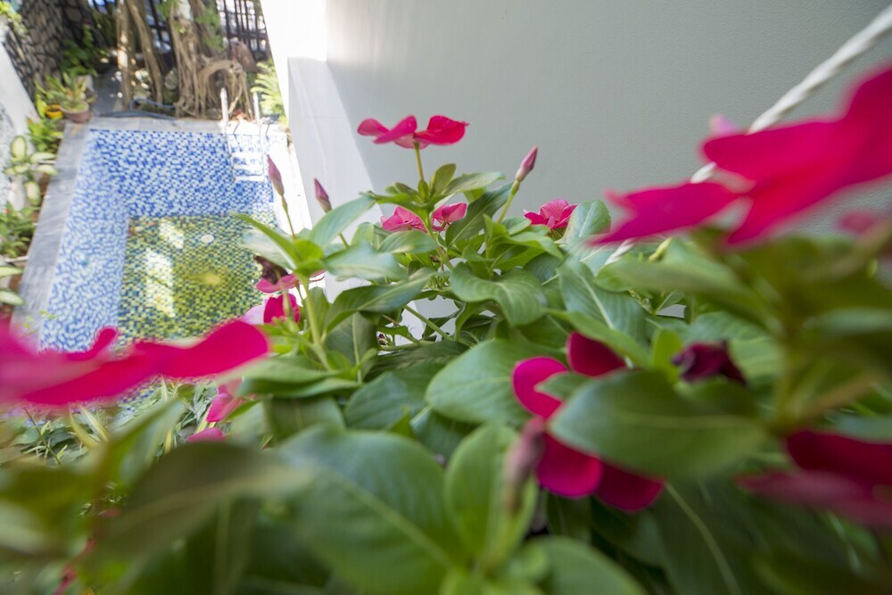 Хойан: Hai Dao Hoi An Villa