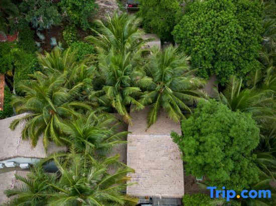 остров Фукуок: M Village Phu Quoc