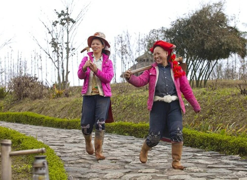 Лаокай: Sapa Homestay In Remote Village