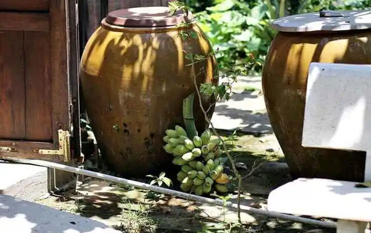 Бенче: Peaceful Homestay in the Middle of Fruit Garden - Room With Public Restroom