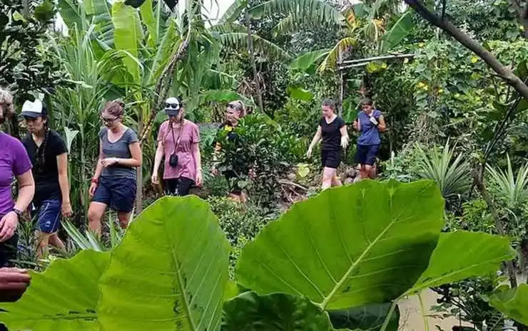 Бенче: Peaceful Homestay in the Middle of Fruit Garden - Rooms With Private Toilets