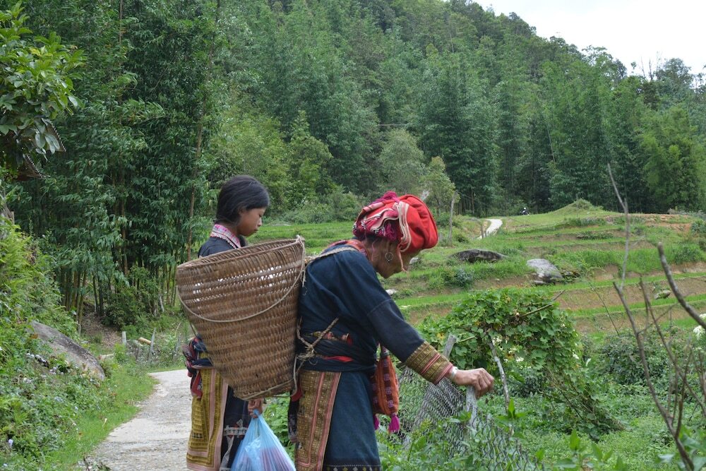 Лаокай: Sapa Homestay Trekking Tour For Backpackers
