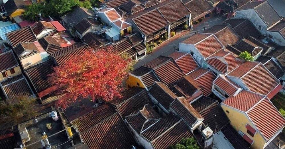 Хойан: Hoian Royal Villa