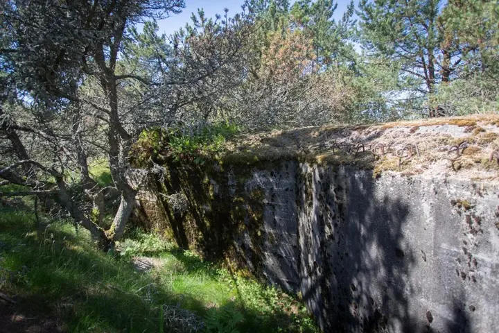 Морское: Дом Ecolodge Zen