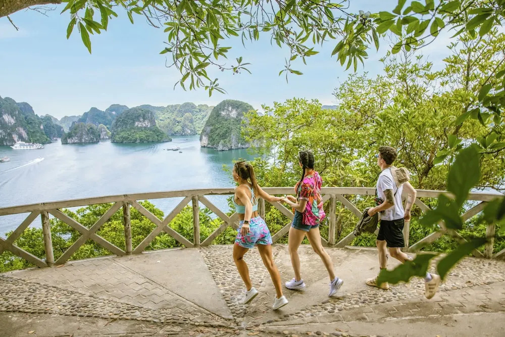 Халонг: Ambassador Cruise Halong Bay