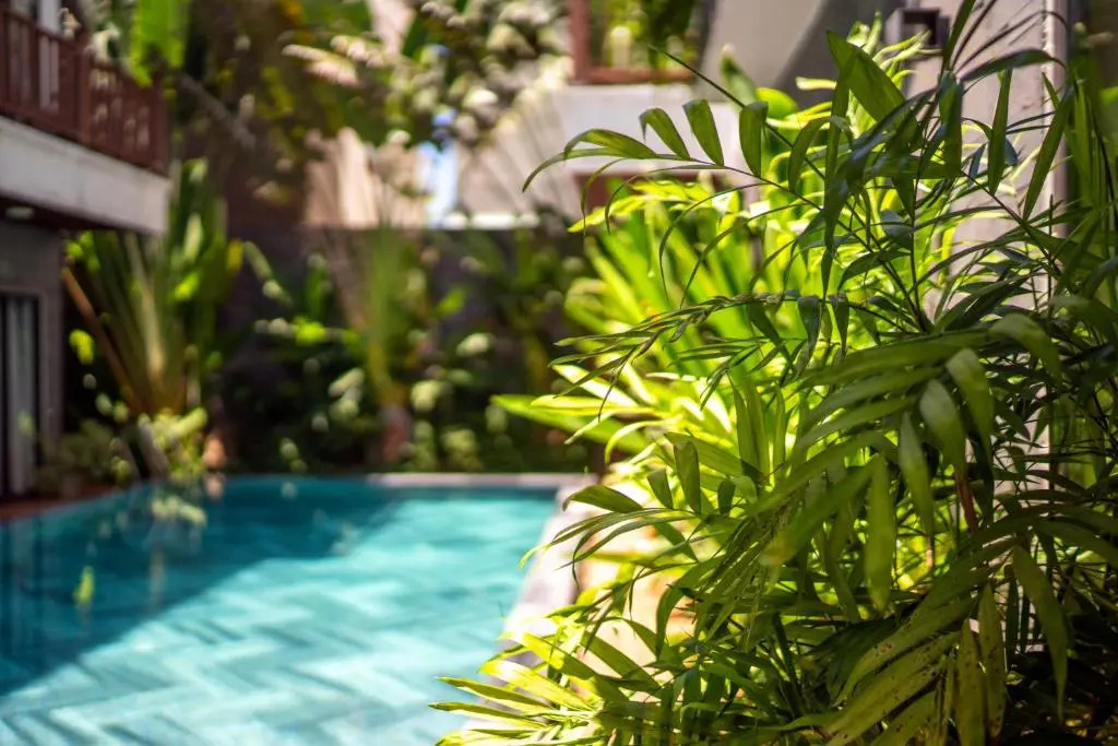 Хойан: December Hoi An Villa