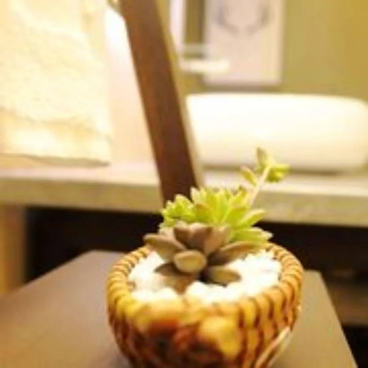 Сиань: Tanglong International Hotel