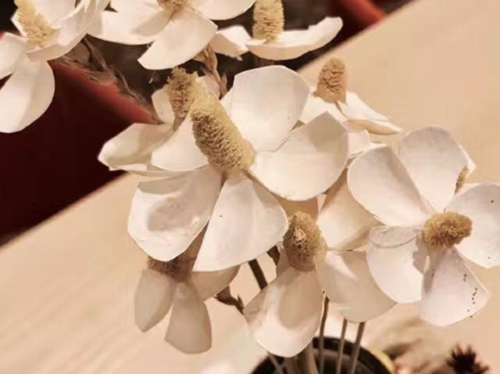 Чанша: 7 Days Inn Changsha Pedestrian Street Branch