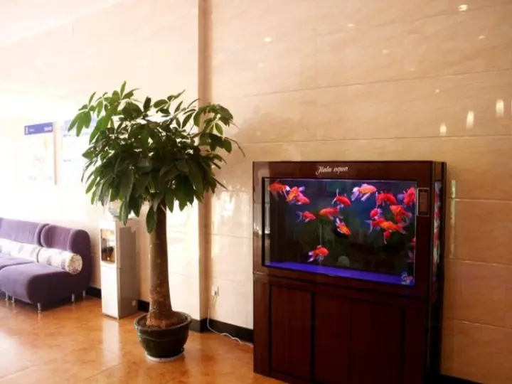 Шаоян: 7Days Inn Shaoyang Longhui Bus station
