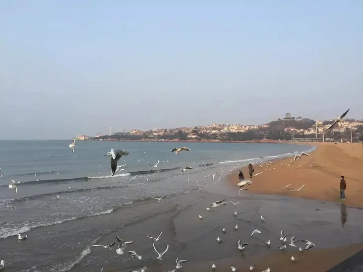 Циндао: Qingdao Donghai Hotel