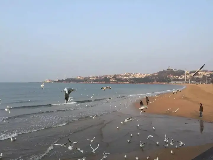 Циндао: Qingdao Donghai Hotel